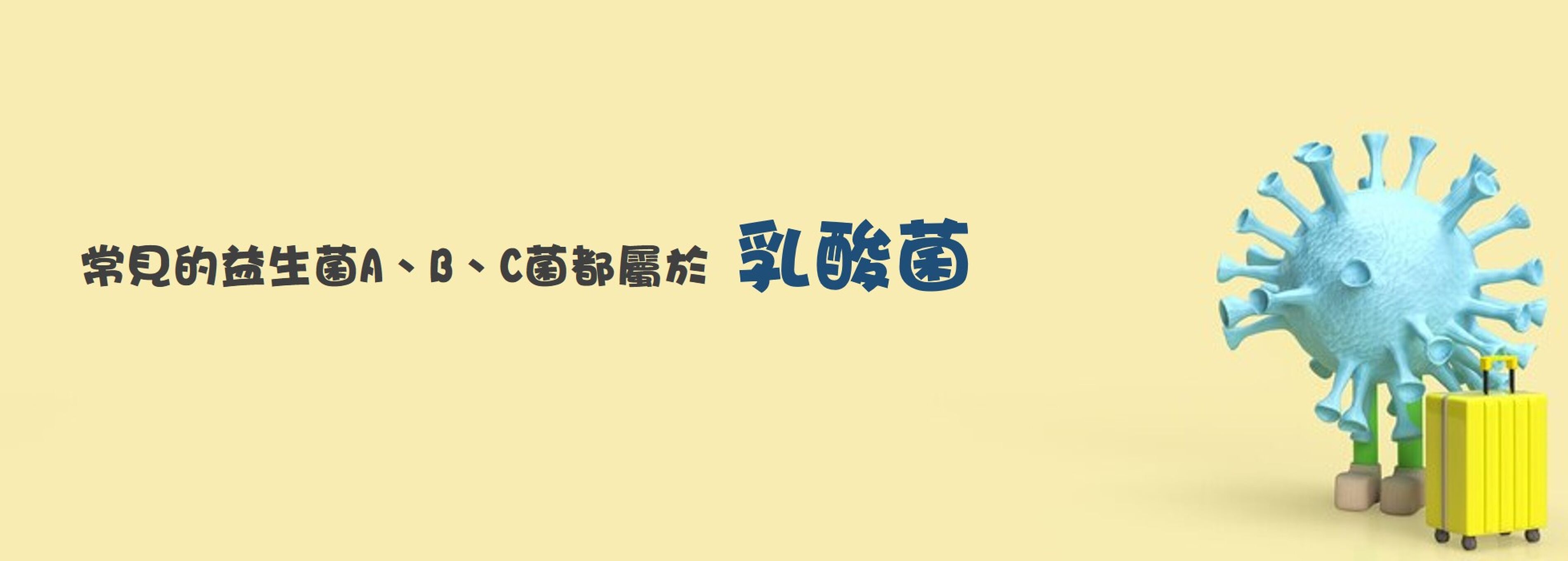 常見的益生菌A、B、C菌都屬於乳酸菌