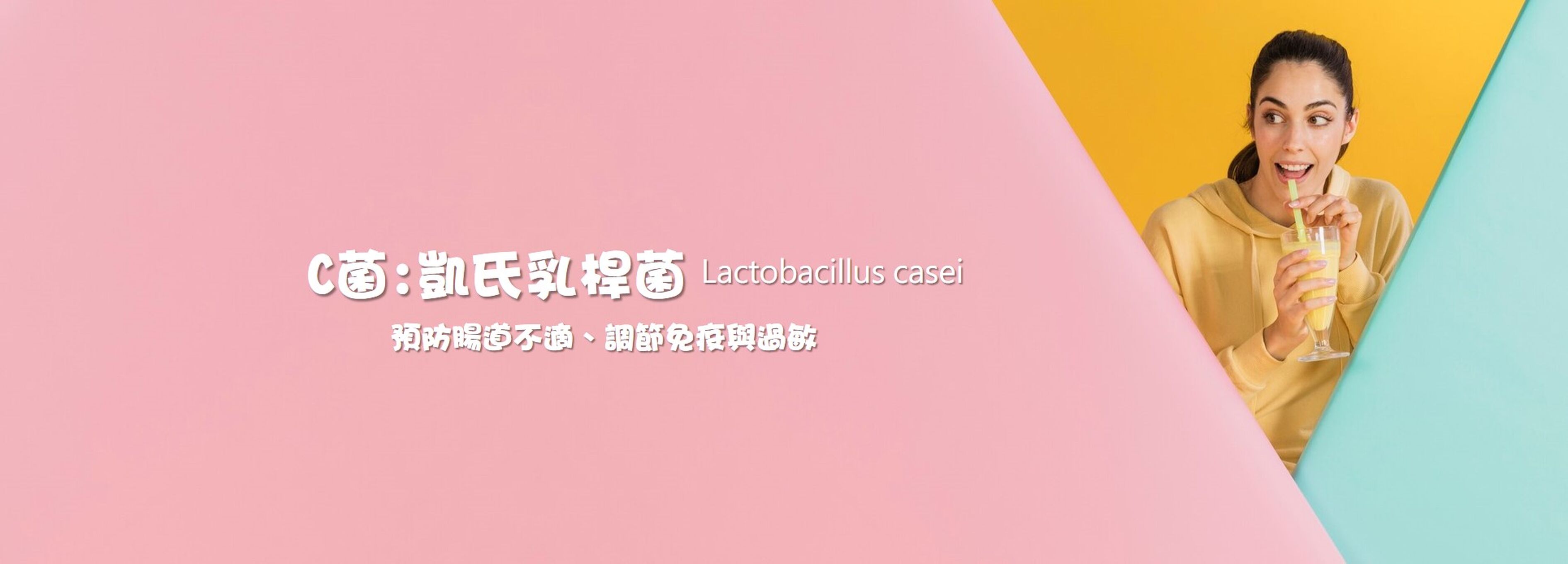 C菌：凱氏乳桿菌