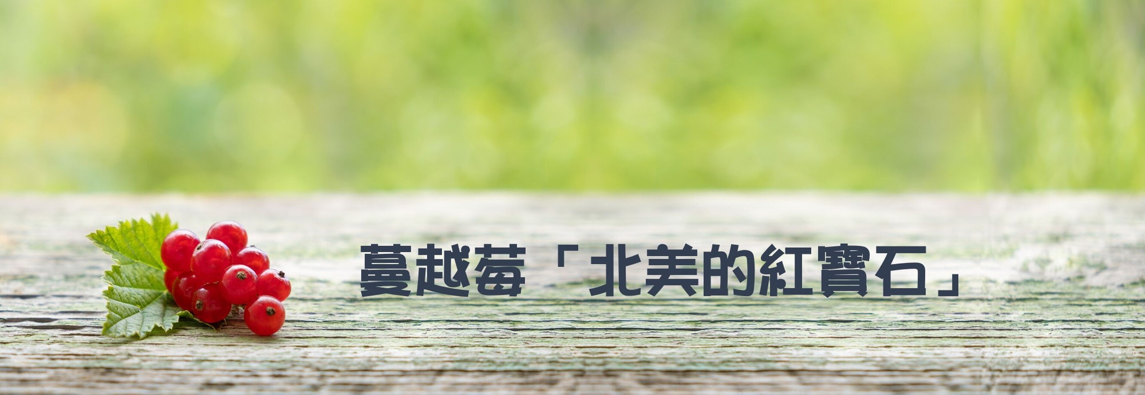 北美的紅寶石