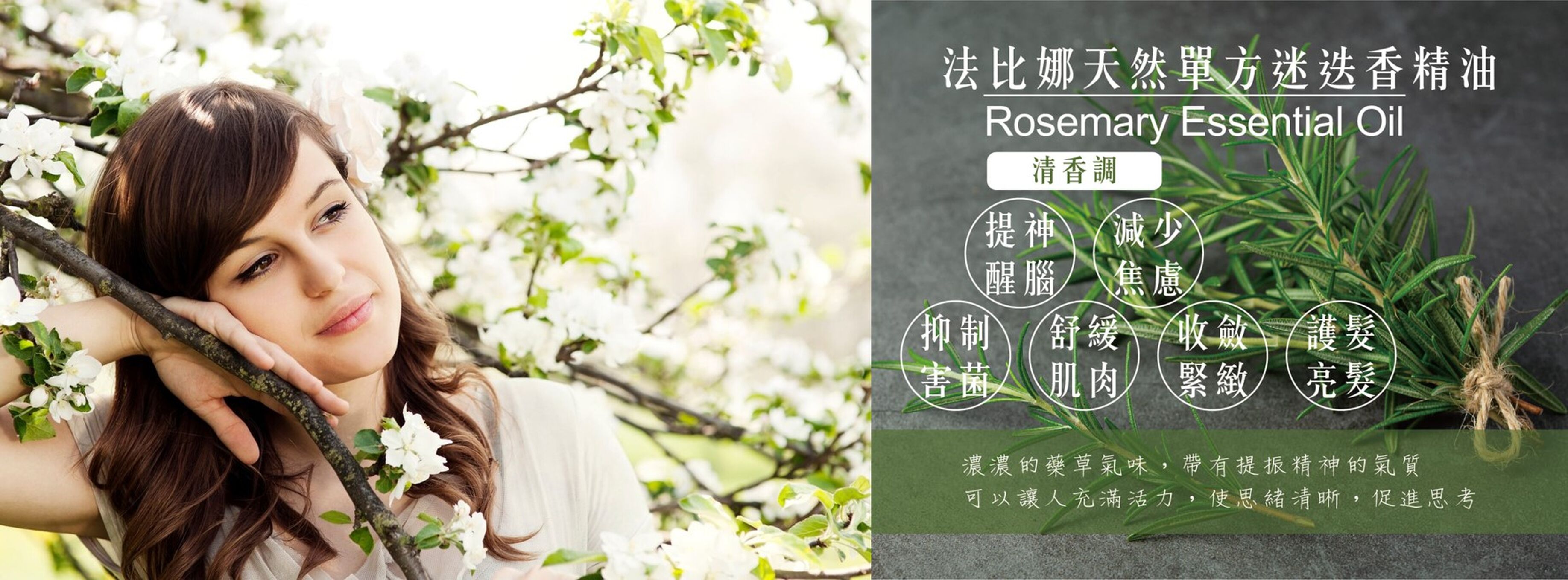 法比娜迷迭香單方精油